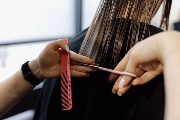 Uzun beyaz tırnaklı bir kadın kuaför kuaförünün saç stili yaparken, uzun ıslak, siyah saçlarını makasıyla keserken, güzellik salonunda pembe plastik berber tarağı tutarken çekilmiş bir fotoğraf..