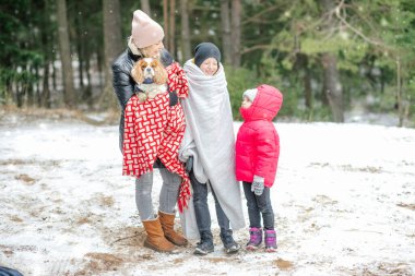 Mutlu, rahat, anne ve iki çocuklu neşeli aile, yumuşak süvari kralı Charles Dog, sıcak kıyafetlere sarılmış, soğuk mevsimde kış ormanlarında yürürken battaniyeye sarılıyorlar. Aile hafta sonu