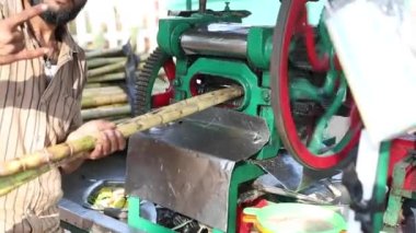 Şeker kamışı işleme, meyve suyu üretimi için değirmen makinesini kullanan tanınmayan erkek elleri metal boynuzları gösteriyor. Küçük işletmeler ve satışlar için kullanılan tarımsal ekinler. Video, fhd