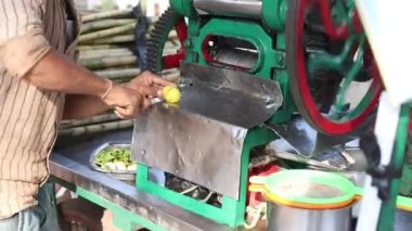 Şekerkamışı işlemek için çelik makinede limon doğrayan kırpılmış adam elleri, meyve suyu üretim fabrikası videosu. Küçük pazar işletmeleri için kullanılan tarımsal ekinler. Doğal ürün. FHD