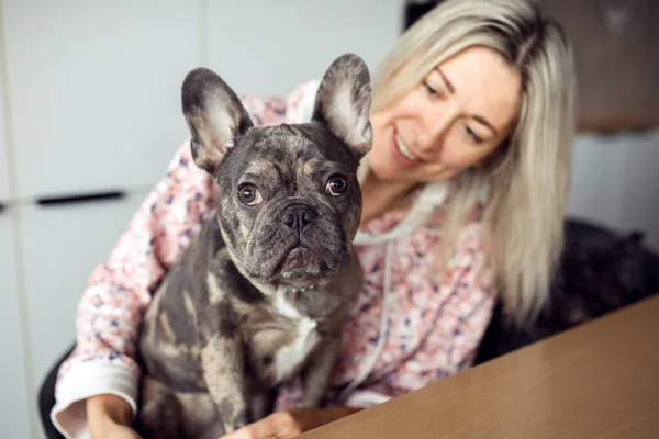 Close-up portrait of charming French bulldog who poses seriously looking at camera. Hostess is sitting next to her and admiring her pet. Maintenance and care of dogs. Healthy pets. Happy moments.