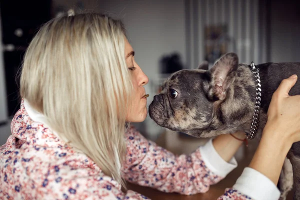 Well kiss. Blonde owner and French bulldog dog reach out to each other for kiss. Maintenance and care of dogs. Healthy pets. Happy moments. Positive emotions. Friendship and mutual understanding.