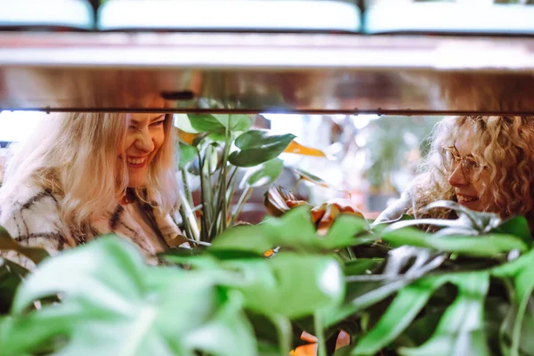 2人の可愛い買い物客が庭の中心の棚の鉢植えを見て楽しんでいます 購入に成功 植物を購入する ガーデンセンター 冬の庭と温室 肯定的な感情 — ストック写真