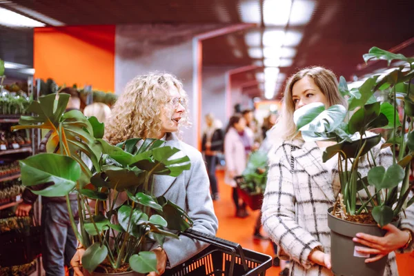 Two pretty friends are walking around garden center, talking, carrying two luxurious monstery in their hands. Successful purchase. Excellent choice. Purchase of indoor plants. Garden center.