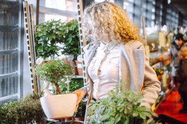 Tanımlanamayan kıvırcık saçlı sarışın bahçe bahçesindeki kış bahçesi için lüks bitkileri seçiyor. Kış bahçesi için gösterişsiz bitkiler. Hobi olarak. Başarılı satın alma tesisleri. Harika bir hediye. Fotoğraf.