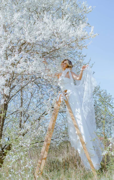 穿着华丽婚纱的迷人女人站在靠近樱花的木制台阶上 欣赏着白花 年轻的女士手里拿着轻薄的衣服 开心地笑着 垂直方向 — 图库照片