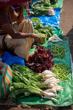 Goa, Hindistan, Şubat 2023. Hintli kadın satıcının şemsiyenin altında otururken çekilmiş fotoğrafı çeşitli sebze çeşitleri, mor fesleğen yaprakları, yerel markette plastik paketlerde beyaz turp..