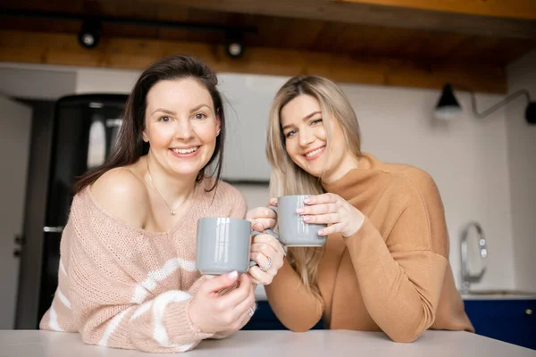 Två Härliga Kvinnliga Vänner Står Köket Vid Bordet Med Grå Stockbild