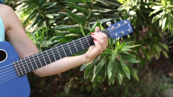 Eco Symphonies Video Unrectable Woman Spielt Gitarre Der Natur Und — Stockvideo