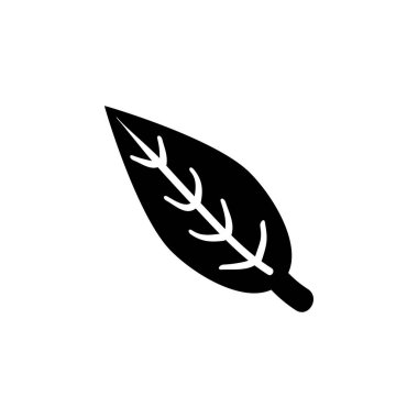 Aromatic Bay Laurel Leaf, Aroma Spice Katı Düz Vektör Simgesi Beyaz Arkaplanda İzole Edildi.