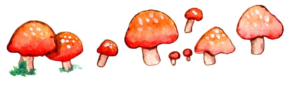 Jogo Aquarela Cogumelos Florestais Vermelhos Isolado Fundo Branco Desenhado Mão — Fotografia de Stock