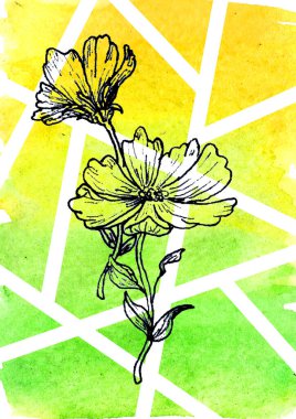 Soyut sarı çiçek. Çiçekli botanik çiçeği.