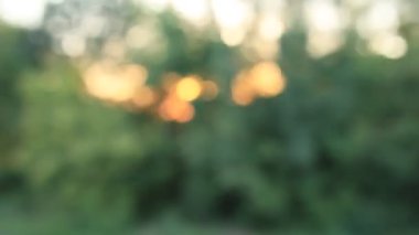 Queensferry, Edinburgh, İskoçya 'daki Forth Rail Köprüsü' nde tren. Yüksek kalite 4k görüntü