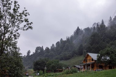 Yaremche köyü yakınlarındaki Ukrayna 'nın Karpatlar bölgesinde. Yüksek kalite fotoğraf