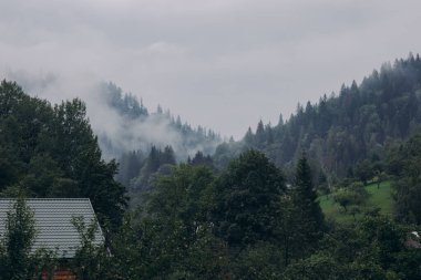 Yaremche köyü yakınlarındaki Ukrayna 'nın Karpatlar bölgesinde. Yüksek kalite fotoğraf