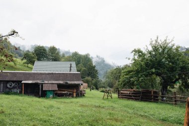 Yaremche köyü yakınlarındaki Ukrayna 'nın Karpatlar bölgesinde. Yüksek kalite fotoğraf