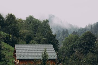 Yaremche köyü yakınlarındaki Ukrayna 'nın Karpatlar bölgesinde. Yüksek kalite fotoğraf