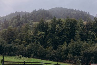 Yaremche köyü yakınlarındaki Ukrayna 'nın Karpatlar bölgesinde. Yüksek kalite fotoğraf