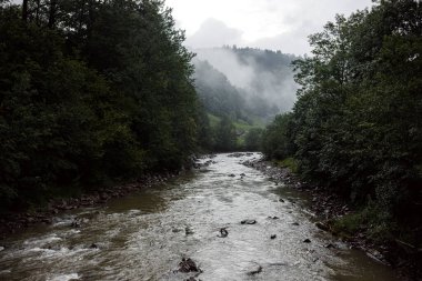 Yaremche köyü yakınlarındaki Ukrayna 'nın Karpatlar bölgesinde. Yüksek kalite fotoğraf