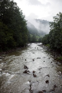 Yaremche köyü yakınlarındaki Ukrayna 'nın Karpatlar bölgesinde. Yüksek kalite fotoğraf