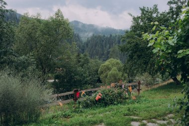 Yaremche köyü yakınlarındaki Ukrayna 'nın Karpatlar bölgesinde. Yüksek kalite fotoğraf