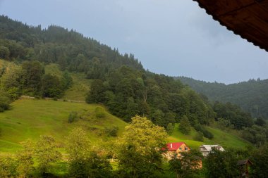 Yaremche köyü yakınlarındaki Ukrayna 'nın Karpatlar bölgesinde. Yüksek kalite fotoğraf