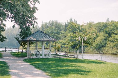 Bahçedeki yeşil park ve ağaç günbatımı arka planında. Egzersiz ve rahatla. - Evet. Yüksek kalite fotoğraf