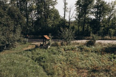 Ukrayna Karpat Dağları. Doğa fghdb Whebvkx