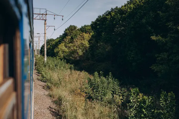 Yolcu treni gün batımında hızlı hareket eder. Yüksek kalite fotoğraf