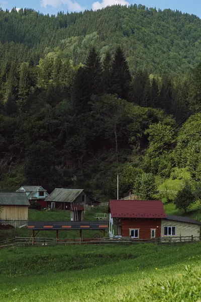 Karpatlar 'da sıcak bir akşam. Dağlarda yaz manzarası. Ukrayna, Avrupa. Yüksek kalite fotoğraf