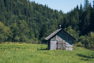 Ukrayna Karpatları dağ ormanları nehir güneşi güzelliği bulutlandırır. Yüksek kalite fotoğraf