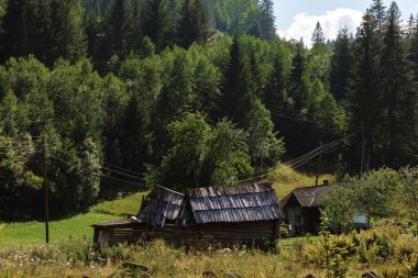 Ukrayna Karpatları dağ ormanları nehir güneşi güzelliği bulutlandırır. Yüksek kalite fotoğraf