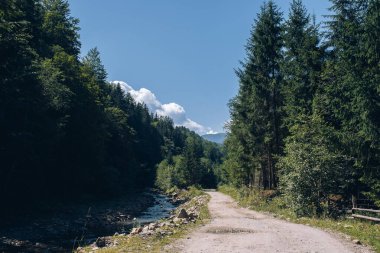 Panorama 'nın altında beyaz sis olan dağlarda güzel bir gün doğumu. Yüksek kalite fotoğraf