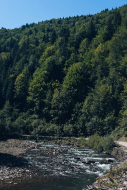 Panorama 'nın altında beyaz sis olan dağlarda güzel bir gün doğumu. Yüksek kalite fotoğraf