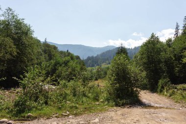 Ukrayna Karpatları dağ ormanları nehir güneşi güzelliği bulutlandırır. Yüksek kalite fotoğraf