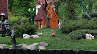 Çok yeşil, bakımlı, göl kenarındaki güzel park.