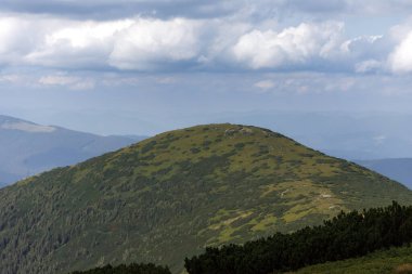 Karpatlar 'ın manzarası çok güzel. Spitzi Dağları. Ukrayna. Yüksek kalite fotoğraf