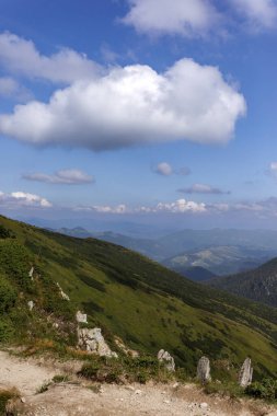 Karpatlar 'ın manzarası çok güzel. Spitzi Dağları. Ukrayna. Yüksek kalite fotoğraf