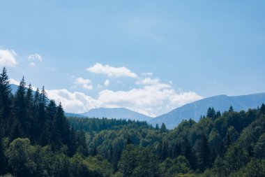 Ukrayna Karpatları dağ ormanları nehir güneşi güzelliği bulutlandırır. Yüksek kalite fotoğraf
