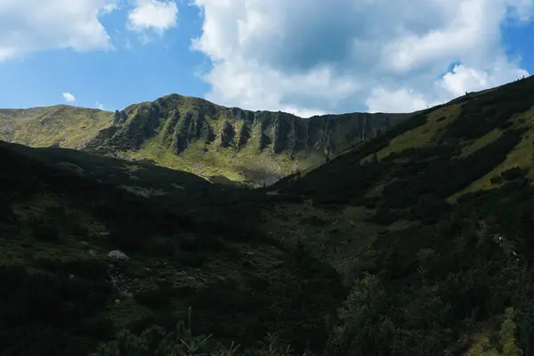 stock image Summer day in the mountains. Mount Shpytsi, Chornohora, Carpathian Mountains, Ukraine. High quality photo