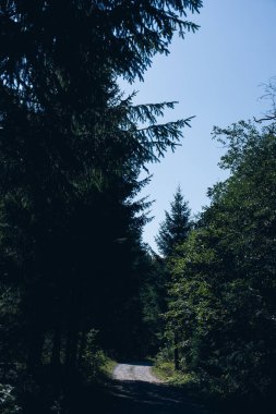 Panorama 'nın altında beyaz sis olan dağlarda güzel bir gün doğumu. Yüksek kalite fotoğraf