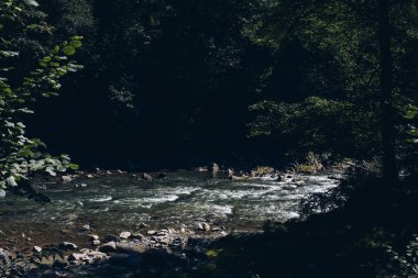 Panorama 'nın altında beyaz sis olan dağlarda güzel bir gün doğumu. Yüksek kalite fotoğraf