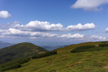 Karpatlar 'ın manzarası çok güzel. Spitzi Dağları. Ukrayna. Yüksek kalite fotoğraf