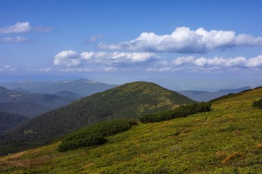 Karpatlar 'ın manzarası çok güzel. Spitzi Dağları. Ukrayna. Yüksek kalite fotoğraf