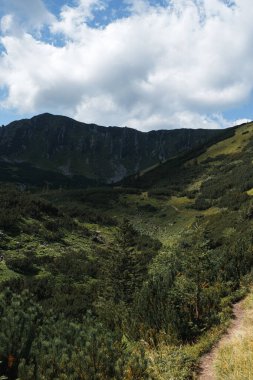 Dağlarda yaz günü. Shpytsi Dağı, Chornohora, Karpat Dağları, Ukrayna. Yüksek kalite fotoğraf