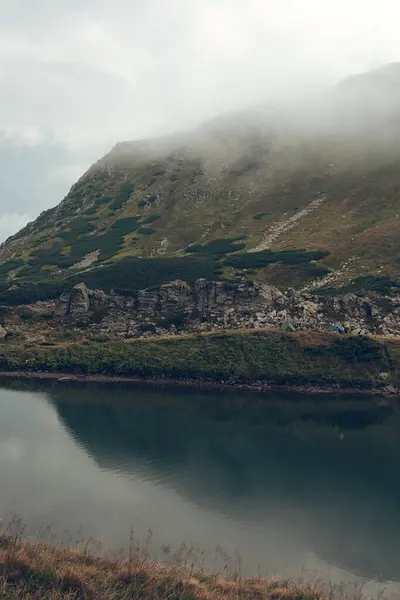 Bir dağ geçidinde yosunlu taşların arasında küçük bir şelale. Konum: Kamianka (Kam 'yanka) nehri, Skole Beskids Ulusal Doğa Parkı, Karpat Dağları, Ukrayna