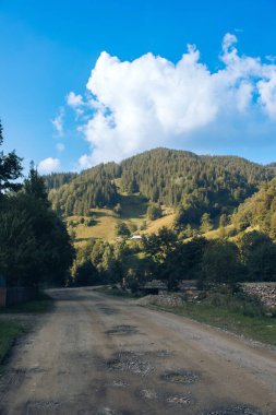 Carpathian dağlarındaki ahşap otel. Konum: Zakarpattya bölgesi, Ukrayna, Avrupa. Yüksek kalite fotoğraf