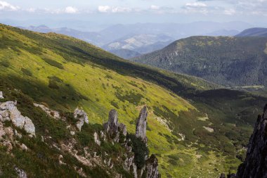 Karpatlar 'ın manzarası çok güzel. Spitzi Dağları. Ukrayna. Yüksek kalite fotoğraf