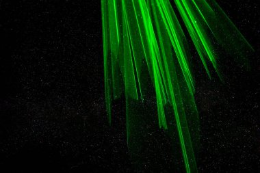 Carpathian dağlarındaki ahşap otel. Konum: Zakarpattya bölgesi, Ukrayna, Avrupa. Yüksek kalite fotoğraf