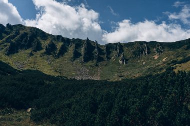 Dağlarda yaz günü. Shpytsi Dağı, Chornohora, Karpat Dağları, Ukrayna. Yüksek kalite fotoğraf
